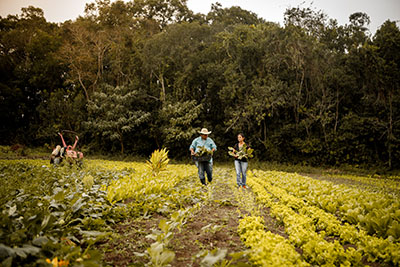 family farming of organic products